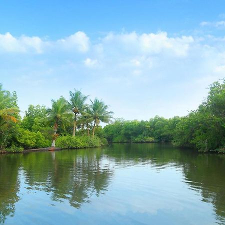 Global Lake Villa هيكادوفا المظهر الخارجي الصورة