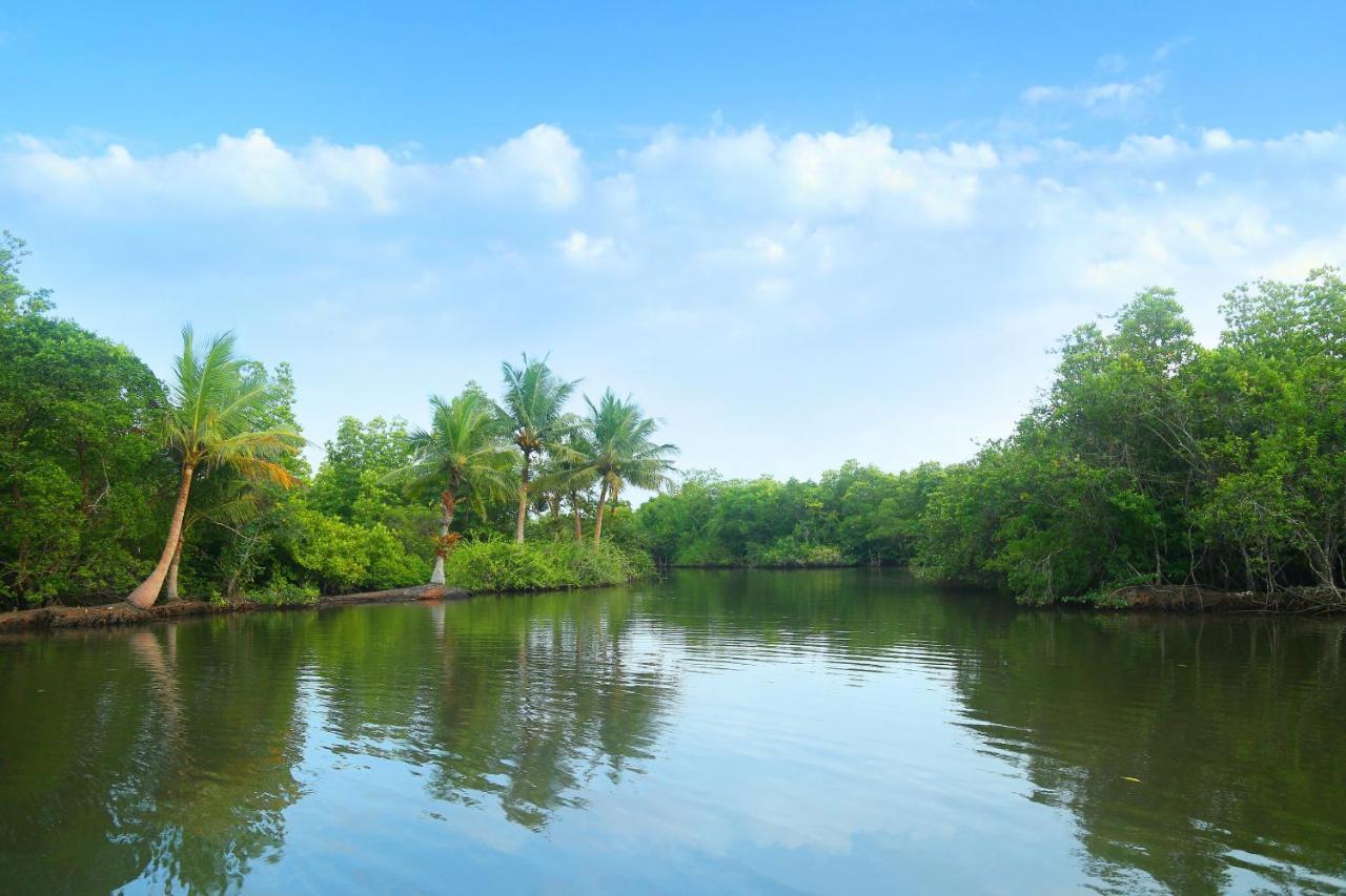 Global Lake Villa هيكادوفا المظهر الخارجي الصورة